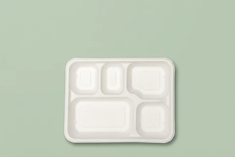 Rectangular Meal Tray 5 CP 